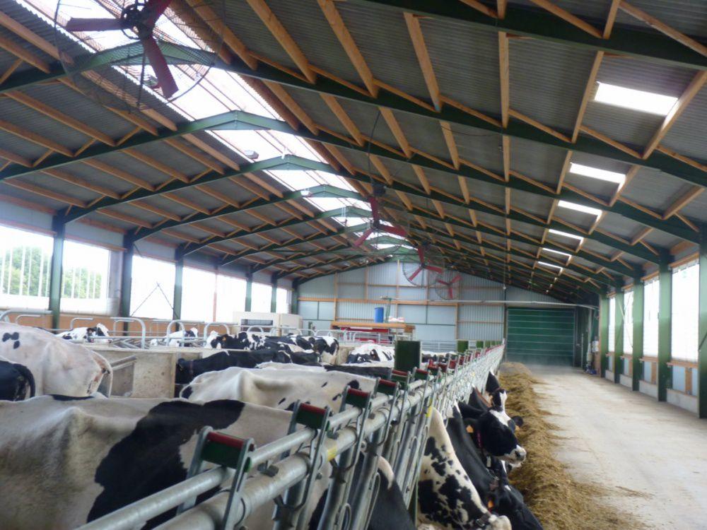 batiment-agricole-01